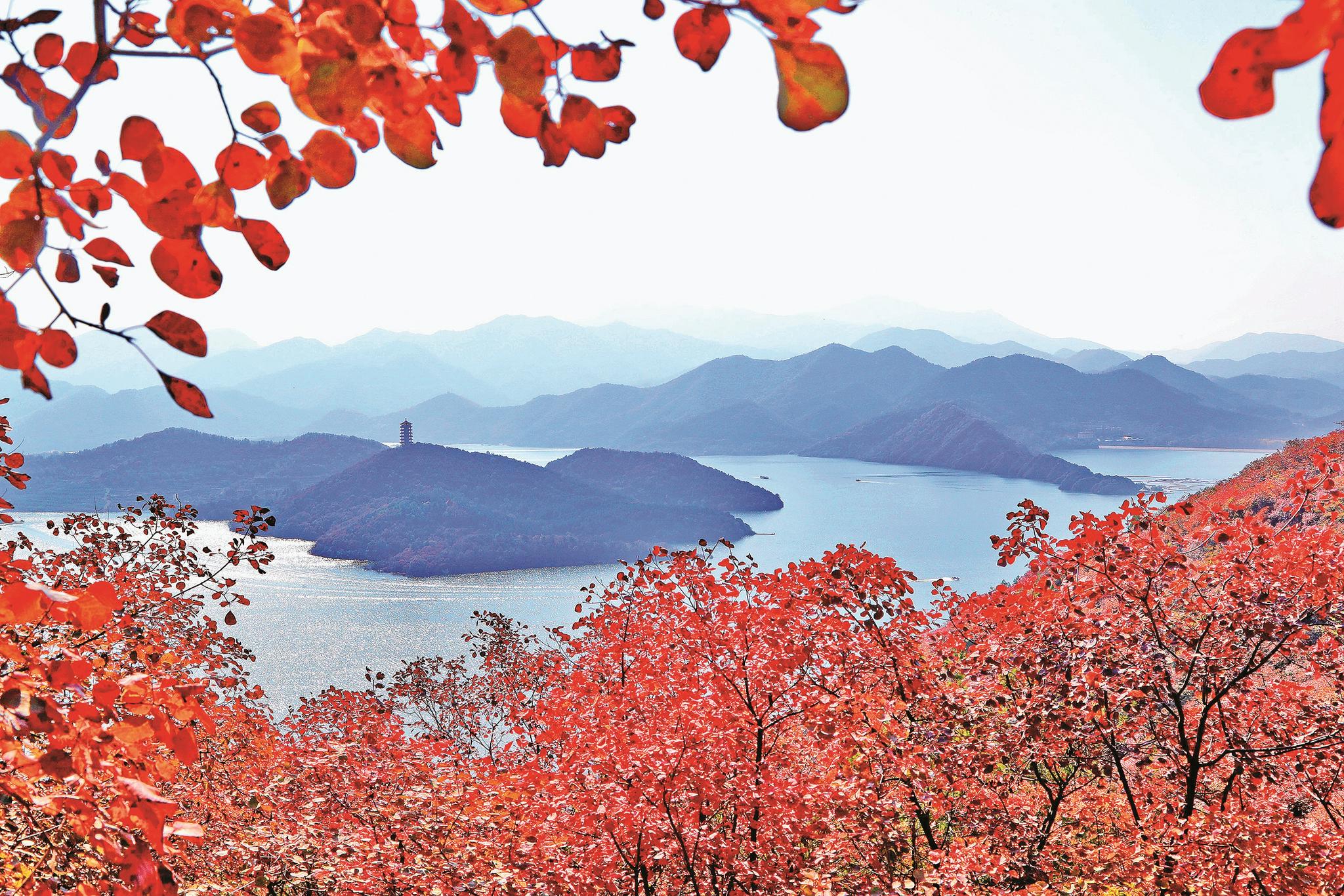 红叶映碧波风景美如画