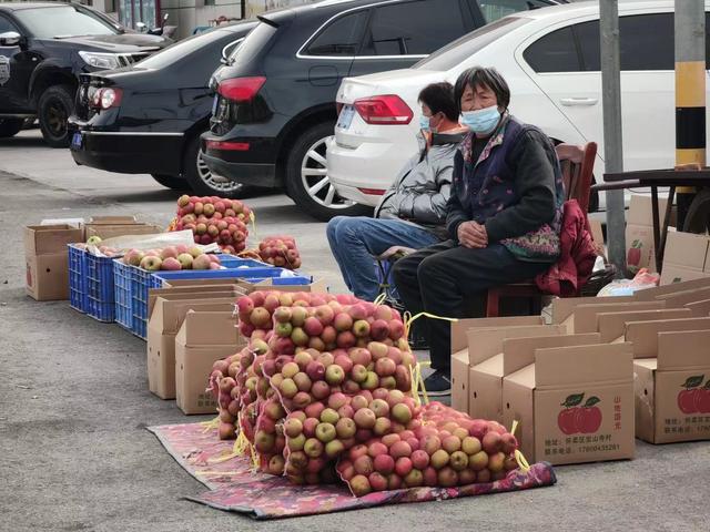 宝山镇街道上,果农支起摊子卖自家苹果.新京报记者 王巍 摄