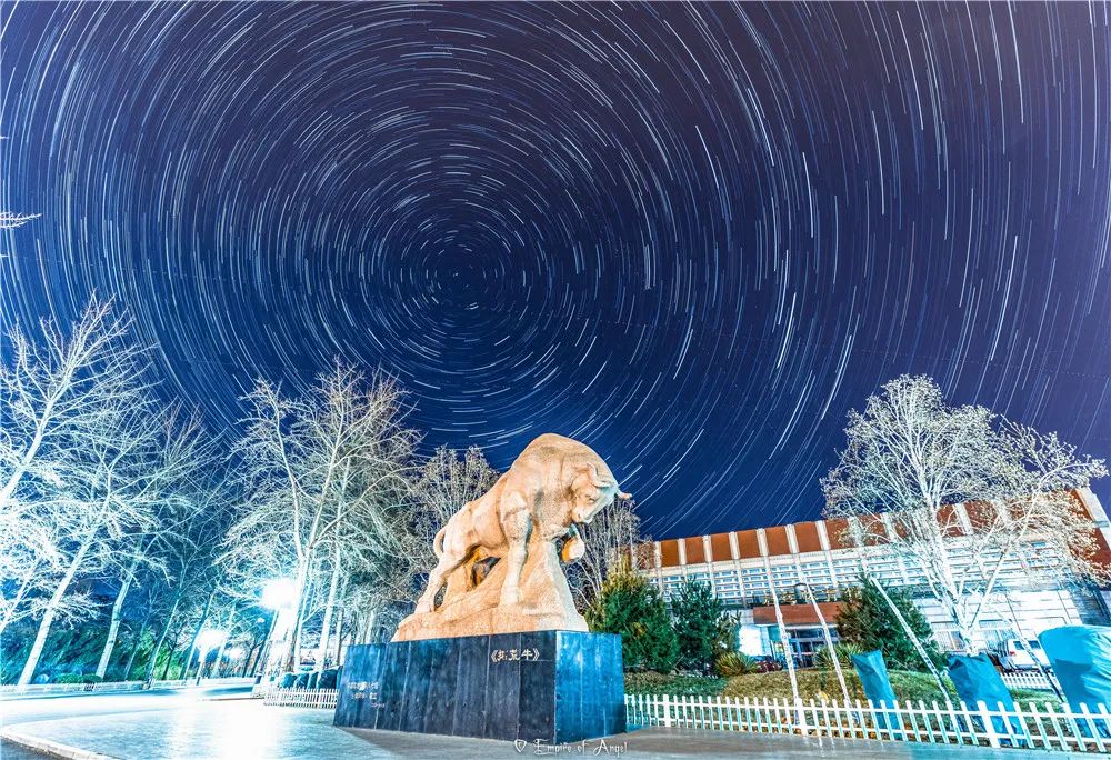 流光溢彩的绚烂夜景繁星流动,夜色如水摄影/杜一同教室的点点灯光与