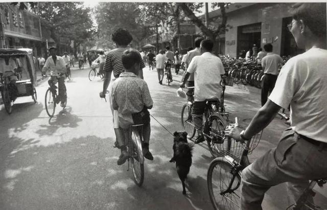 松江酒店排行_上海松江广富林希尔顿酒店开启年末节日季点亮2022新期待