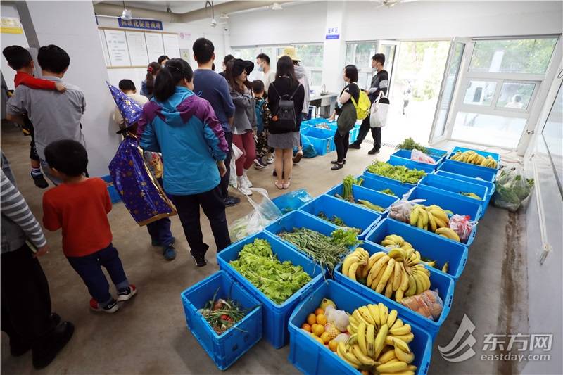 探秘上海动物园食堂动物们一天要吃250斤苹果