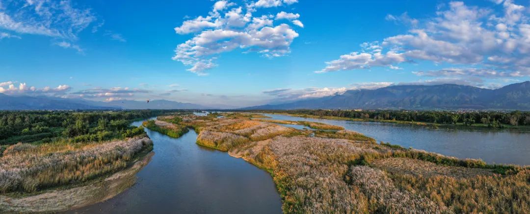 盈江县地处候鸟迁徙的重要途经地据持续监测和观察灰鹤,黑颈鹤,蓑羽鹤