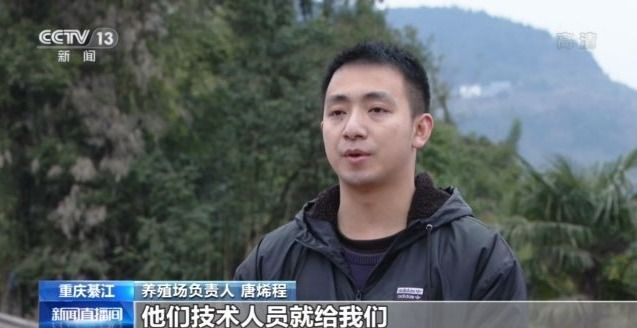 严寒天作物禽畜如何安稳过冬？重庆让专家上门服务