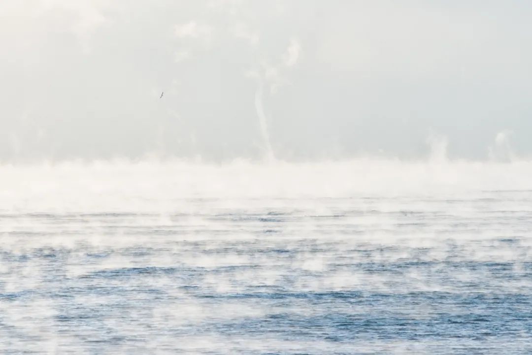 “海浩”是“海雾”?海大告诉你真相!|摄影|中国海洋大学|青岛_新浪新闻