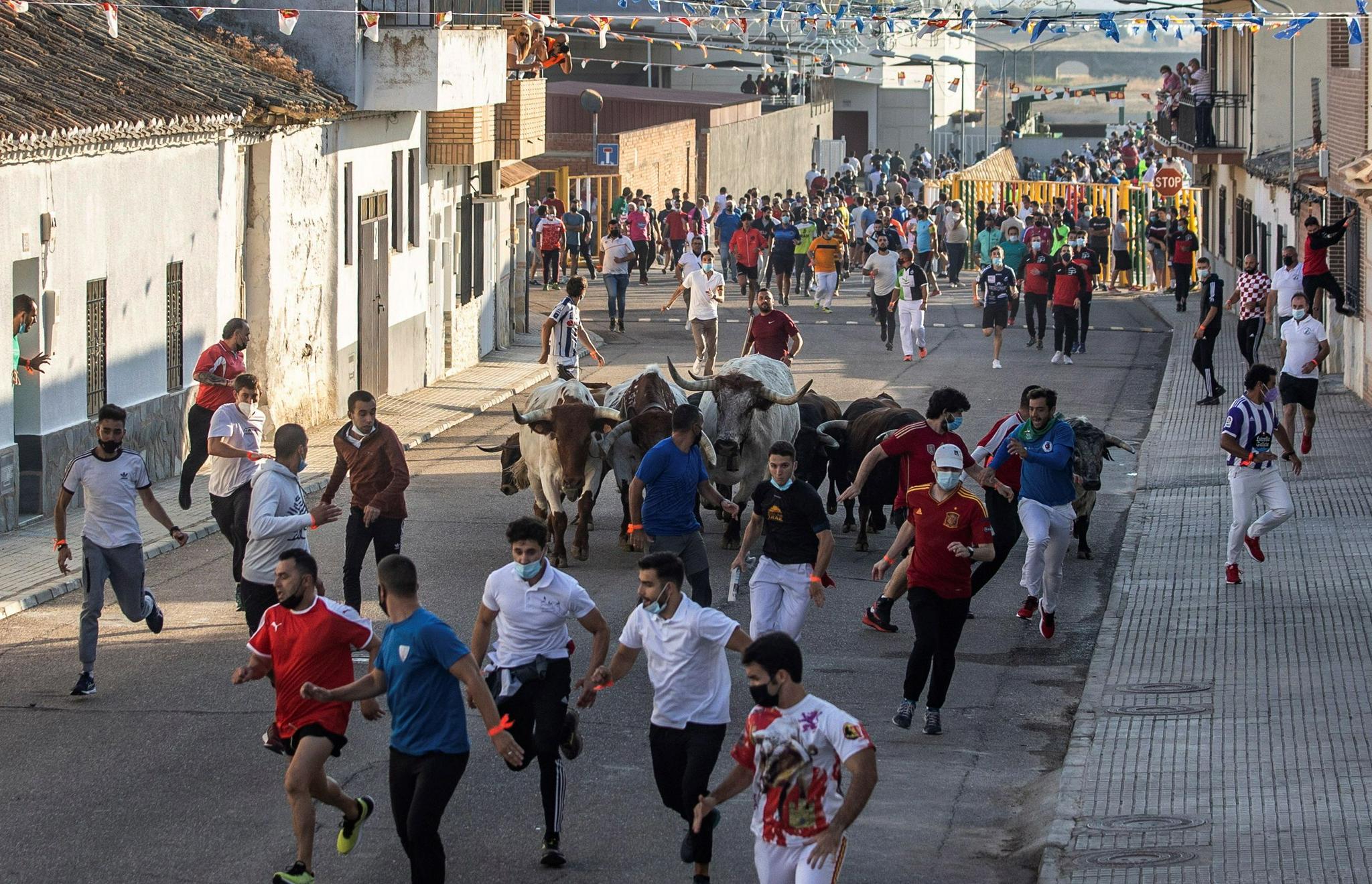 當地時間2021年9月5日,西班牙中部托萊多villaseca de la sagra,當地