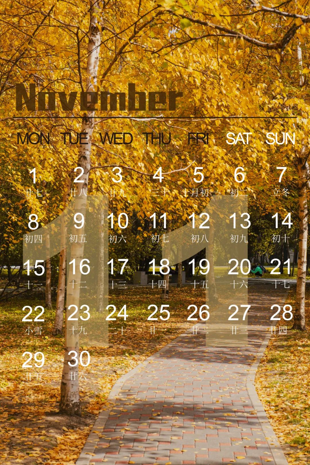 十一月来啦新的日历壁纸请查收