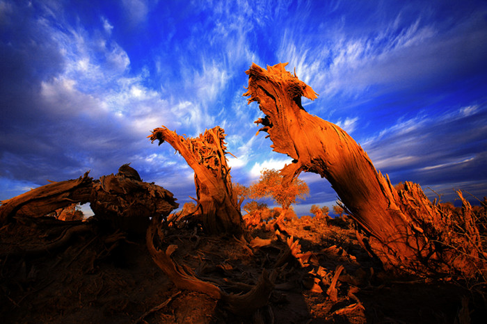 赤日巡空吞云吐火,斗转星移初心未改.