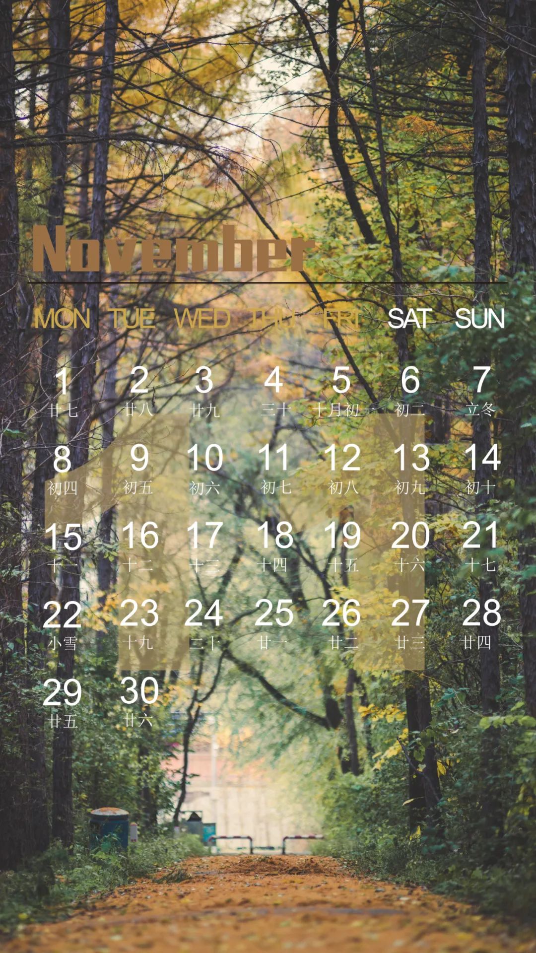 十一月来啦新的日历壁纸请查收