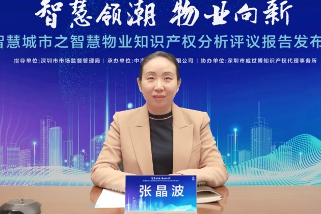 中建集团科技部副总经理张晶波致辞