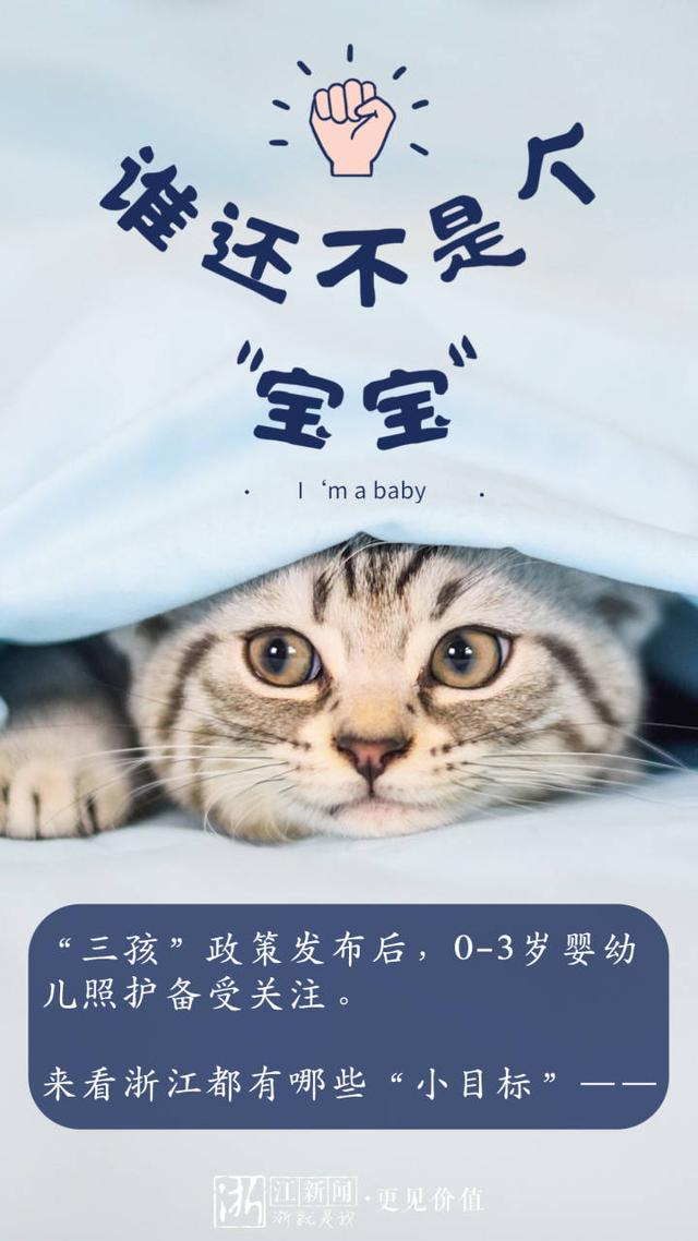 谁还不是个"宝宝"?0-3岁婴幼儿照护 浙江准备这样做
