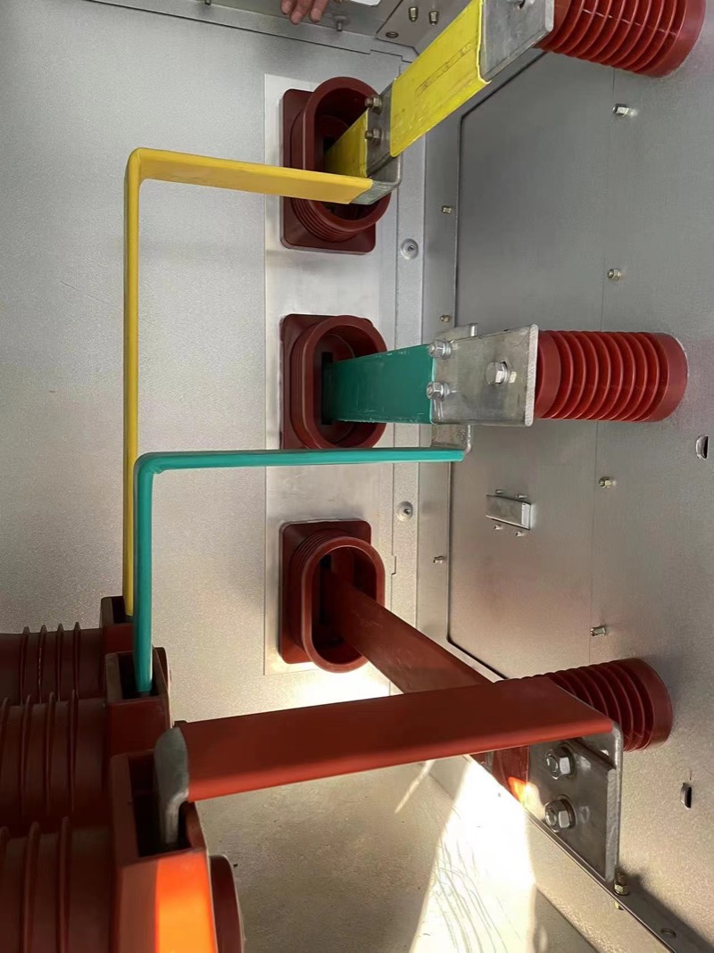 湖北鄂州梁子湖供电公司:百名党员护百线,母排"换衣"添新颜|湖北省_新