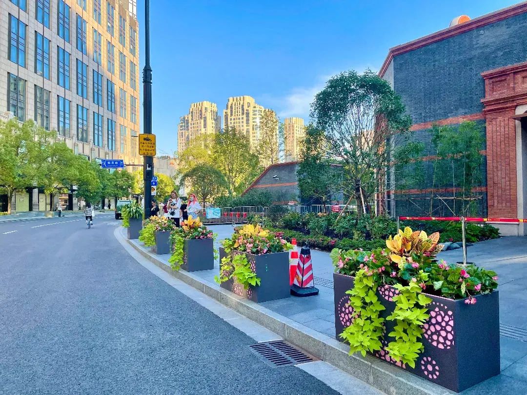 进博会开幕在即道路主题景点花坛花境限定美景来了