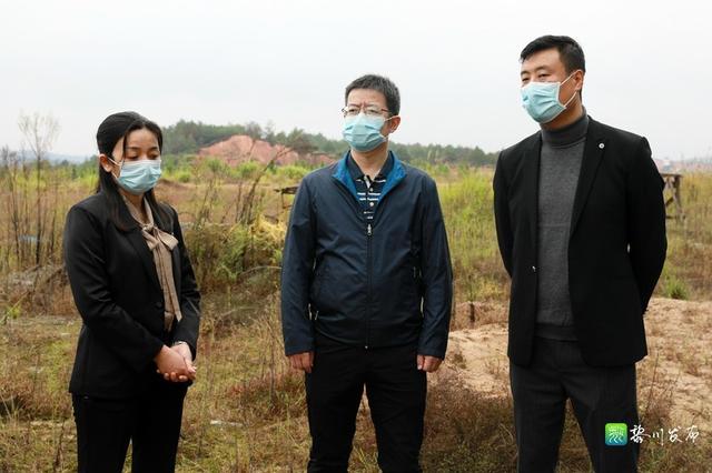 11月2日,县委书记郑锦锋调研督导香榧胭脂柚产业及耕地问题整改工作.