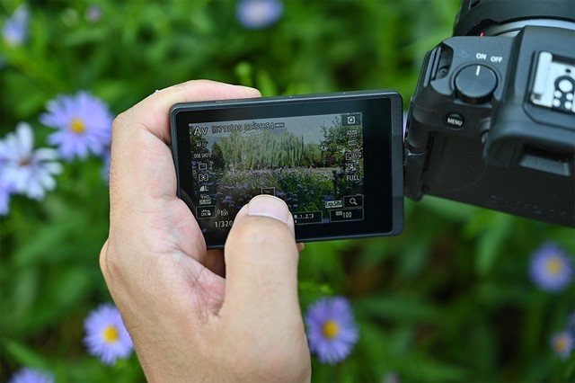 全幅相机很贵？高性价比全画幅相机推荐