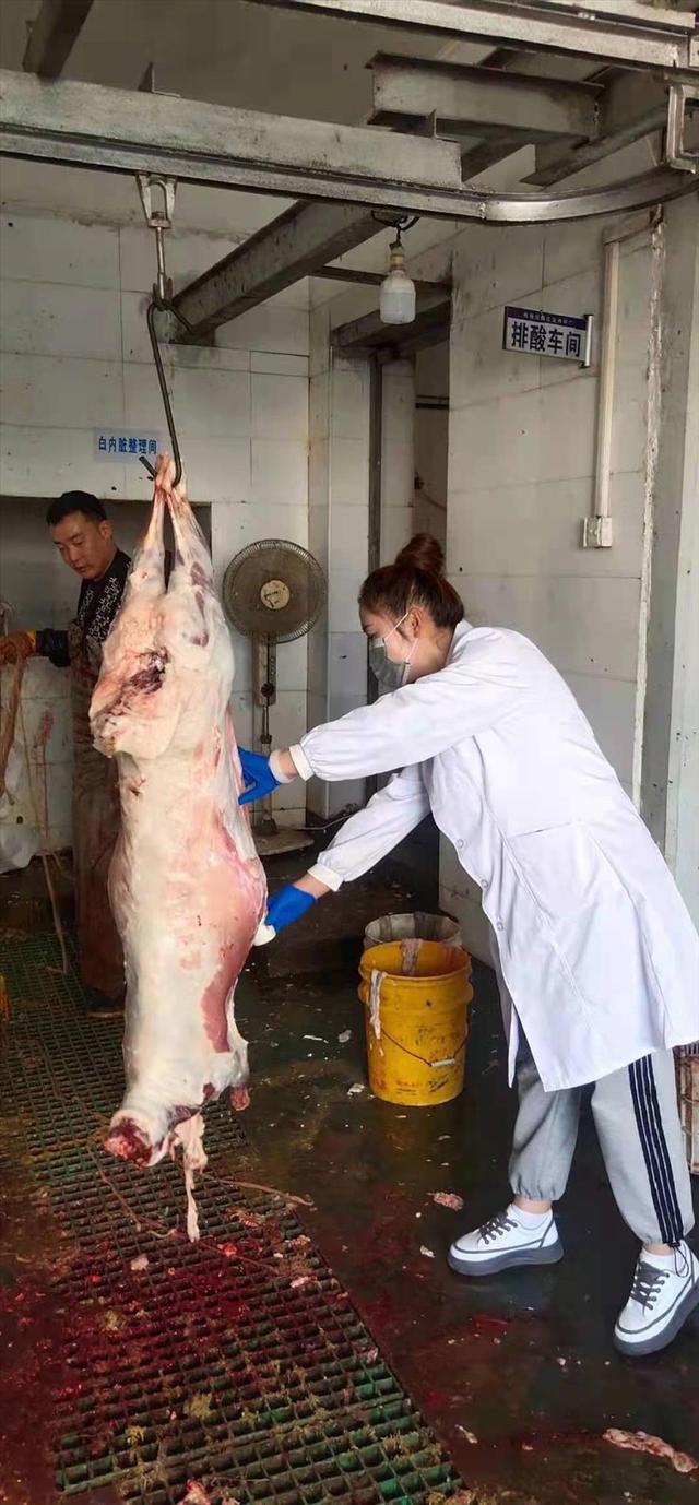 续航"舌尖上的安全" 严抓畜产品质量安全关|屠宰场_新浪财经_新浪网