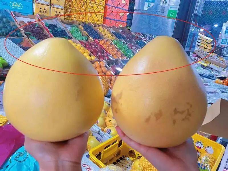 柚子有公母之分公柚酸母柚甜专家柚子根本不分公母