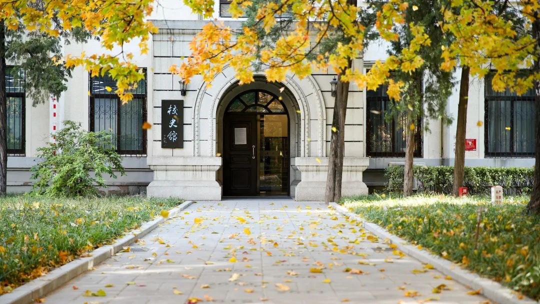 最美的北科最美的你又是一年银杏路