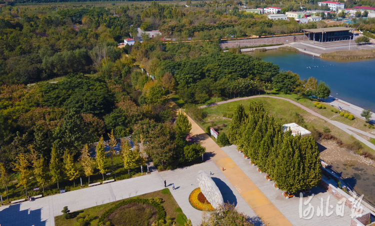 近日拍摄的河北省邢台市南和区和阳公园.
