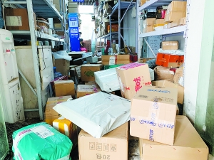 “双11”件量日攀700万 快递高薪抢人