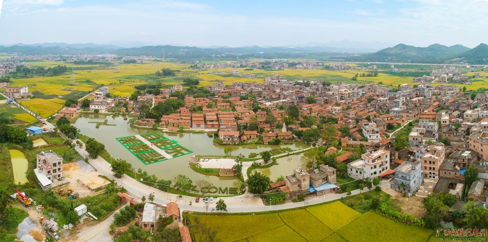 玉林市福绵区十丈村开辟乡村高质量发展的新路径,积极推动农业全面