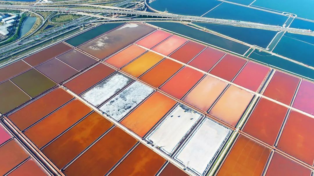 图自:天津长芦汉沽盐场党委宣传部(摄于天津)