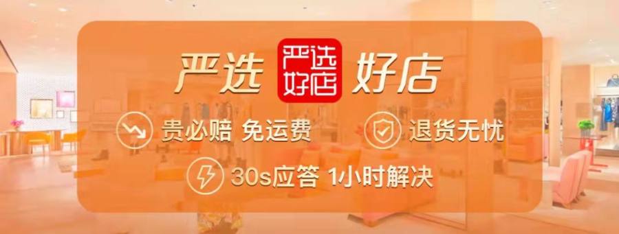 海南网络科技公司：潮头经济的弄潮儿