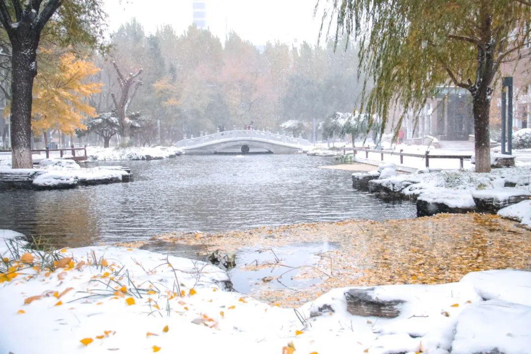 与胸中情愫交映采撷一份诗情众人垂看明德湖雪落无影围坐至善亭唤醒