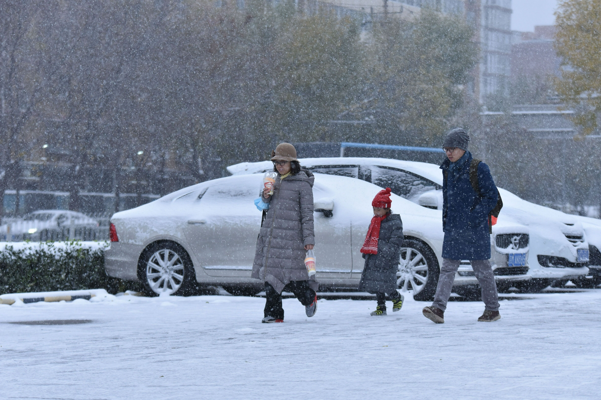 11月7日,北京市丰台区街头,人们在风雪中行走.图/ic photo