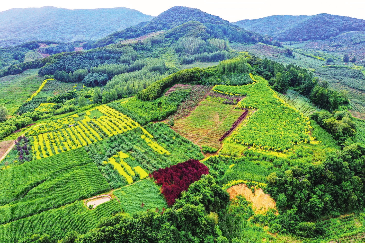 永吉县立足绿色打造生态强县