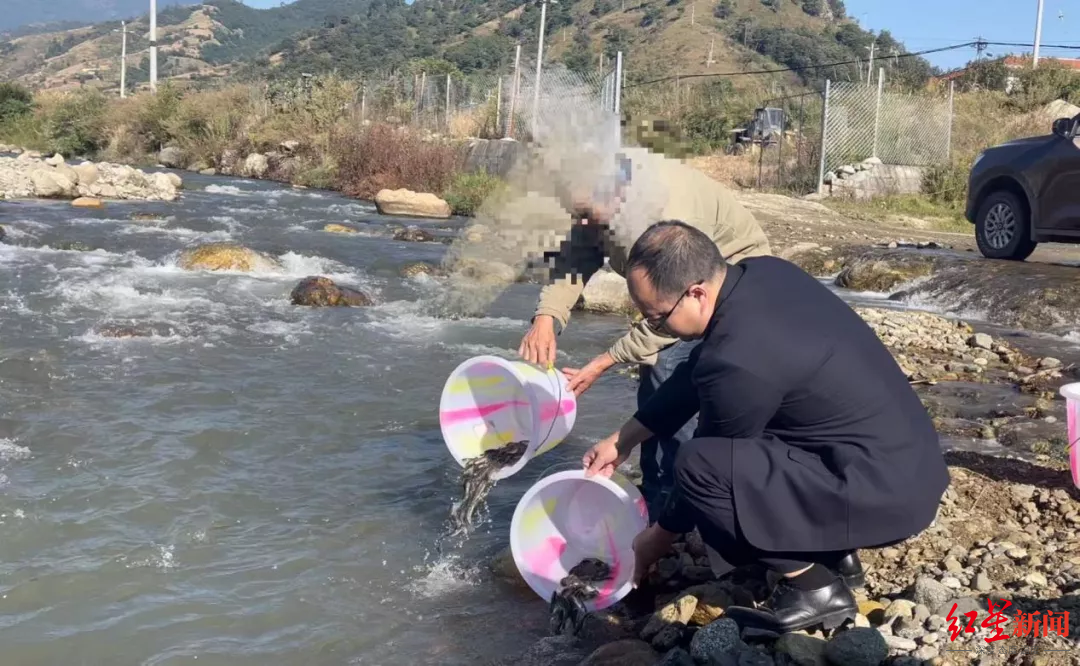 男子抓了500余条野生鱼警方已逮捕