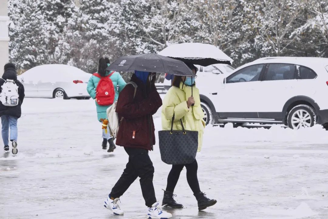 我爱你,东大的雪!