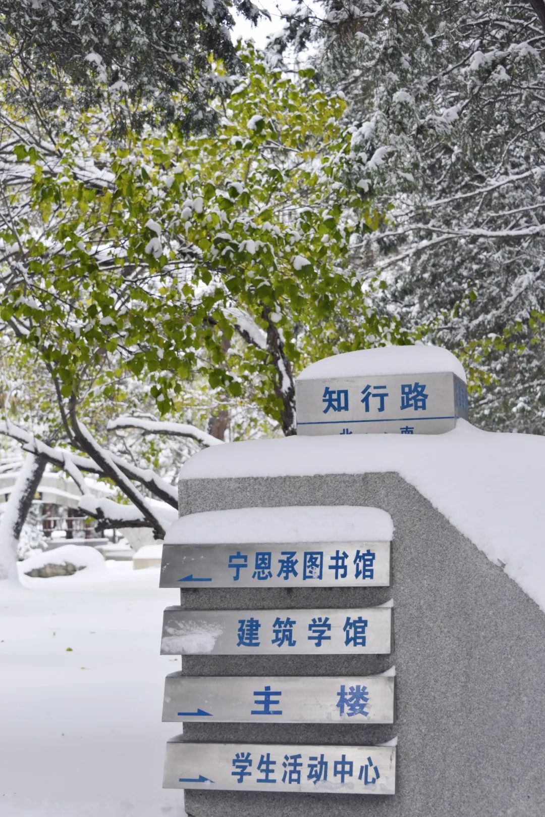 我爱你,东大的雪!