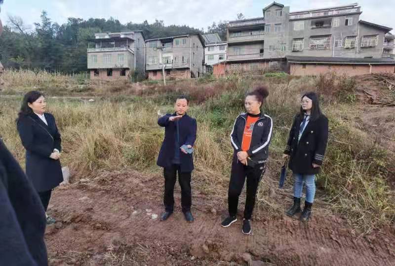 四川万源黑宝山镇:小小"百部"迈出致富一大步|万源市|四川省_新浪新闻