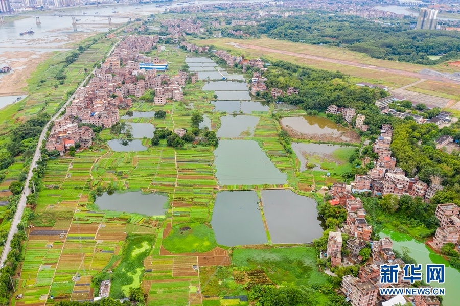 【"飞阅"中国】航拍"西江明珠"上的"开心农场"|西江_新浪财经_新浪网