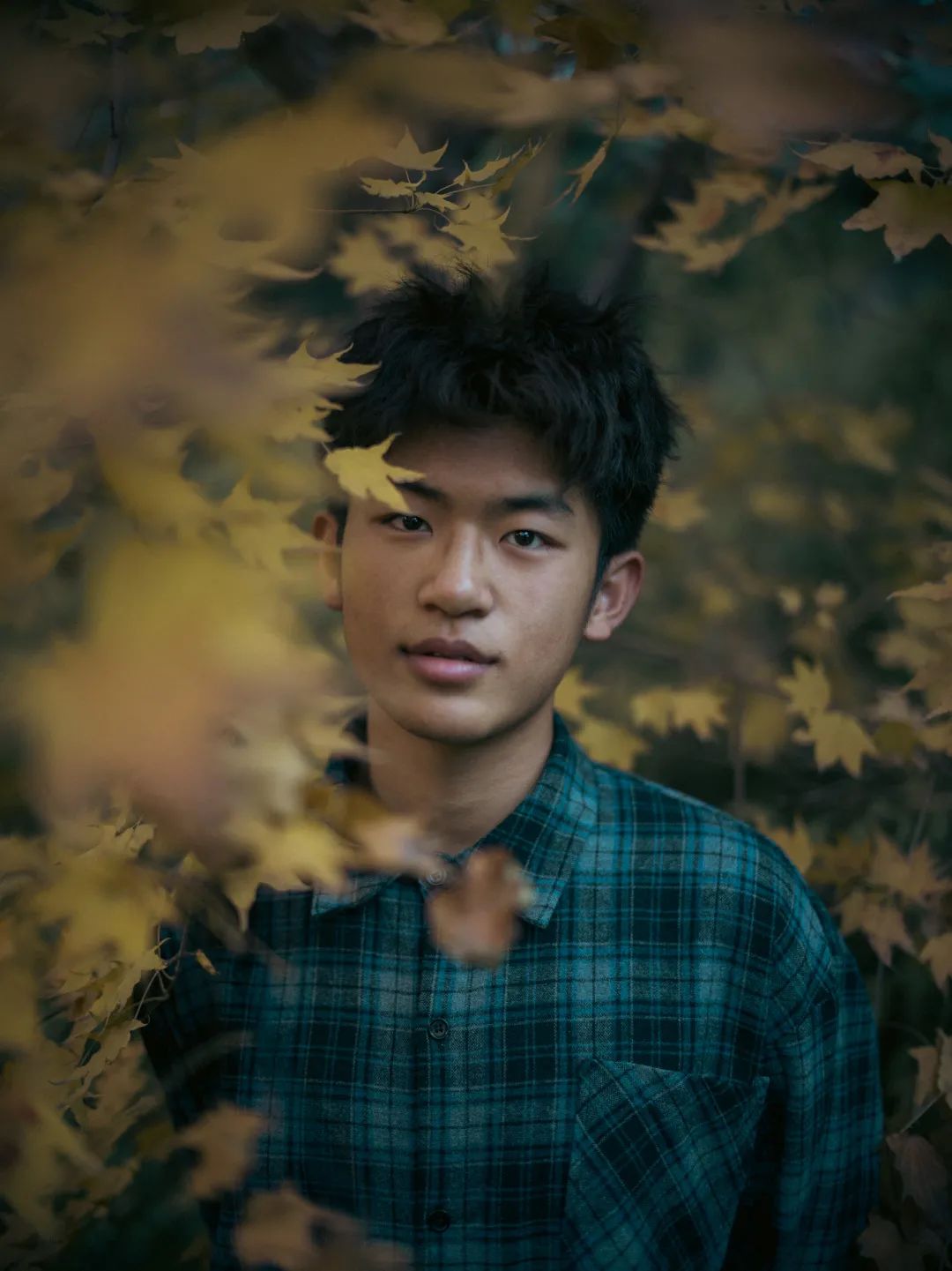 农大印象 秋影 新浪新闻