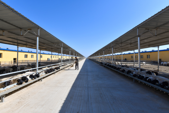 养羊场永安管委会是莎车县的易地扶贫搬迁安置区,已经建设起2000座