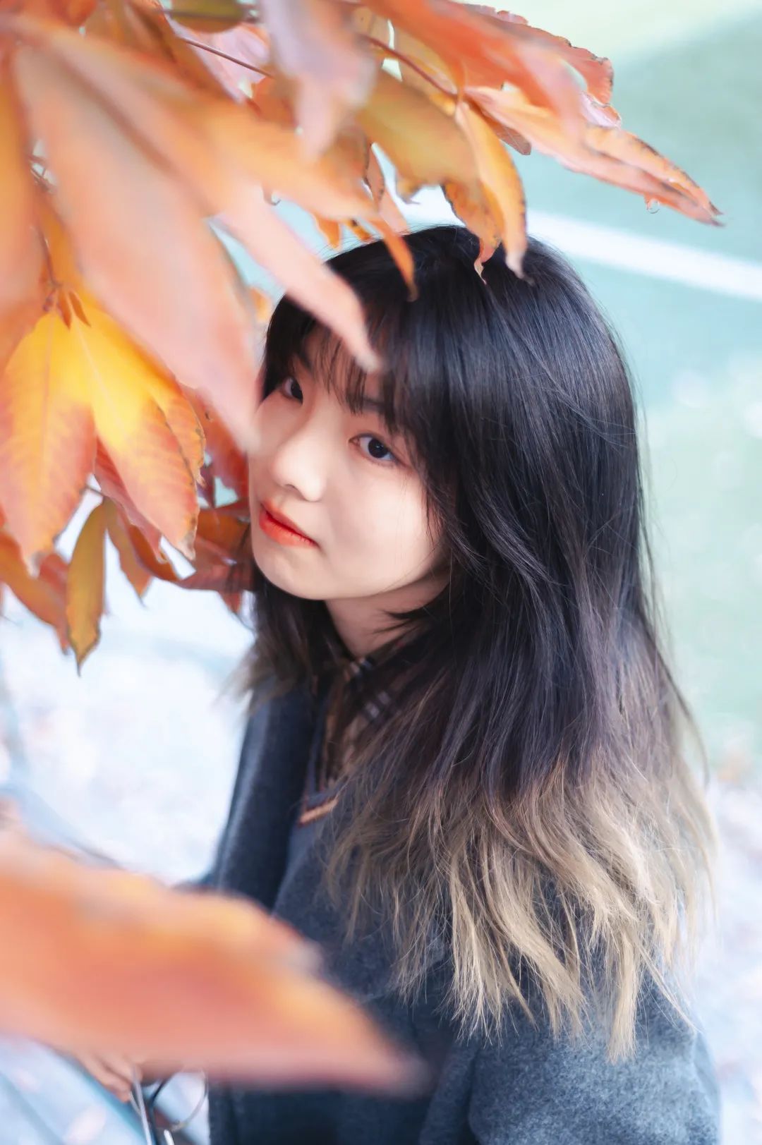 农大印象 秋影 新浪新闻