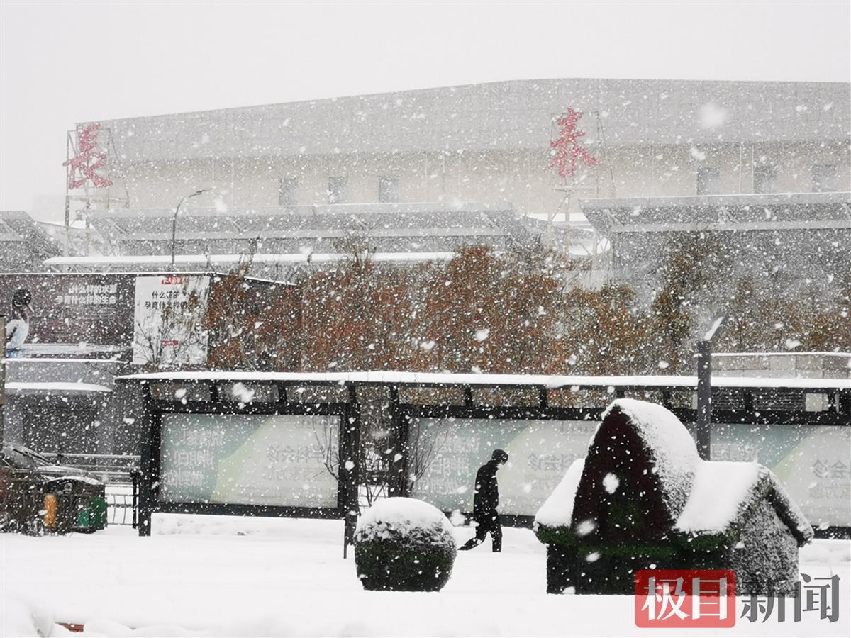 罕见寒潮暴击下的中国北方：“一场雪，比往年整个冬天的量都大”