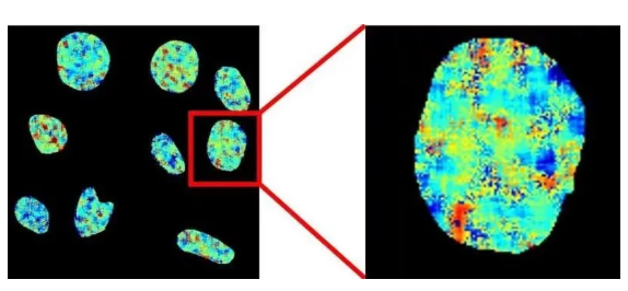 图片来源：Smith et al., Science