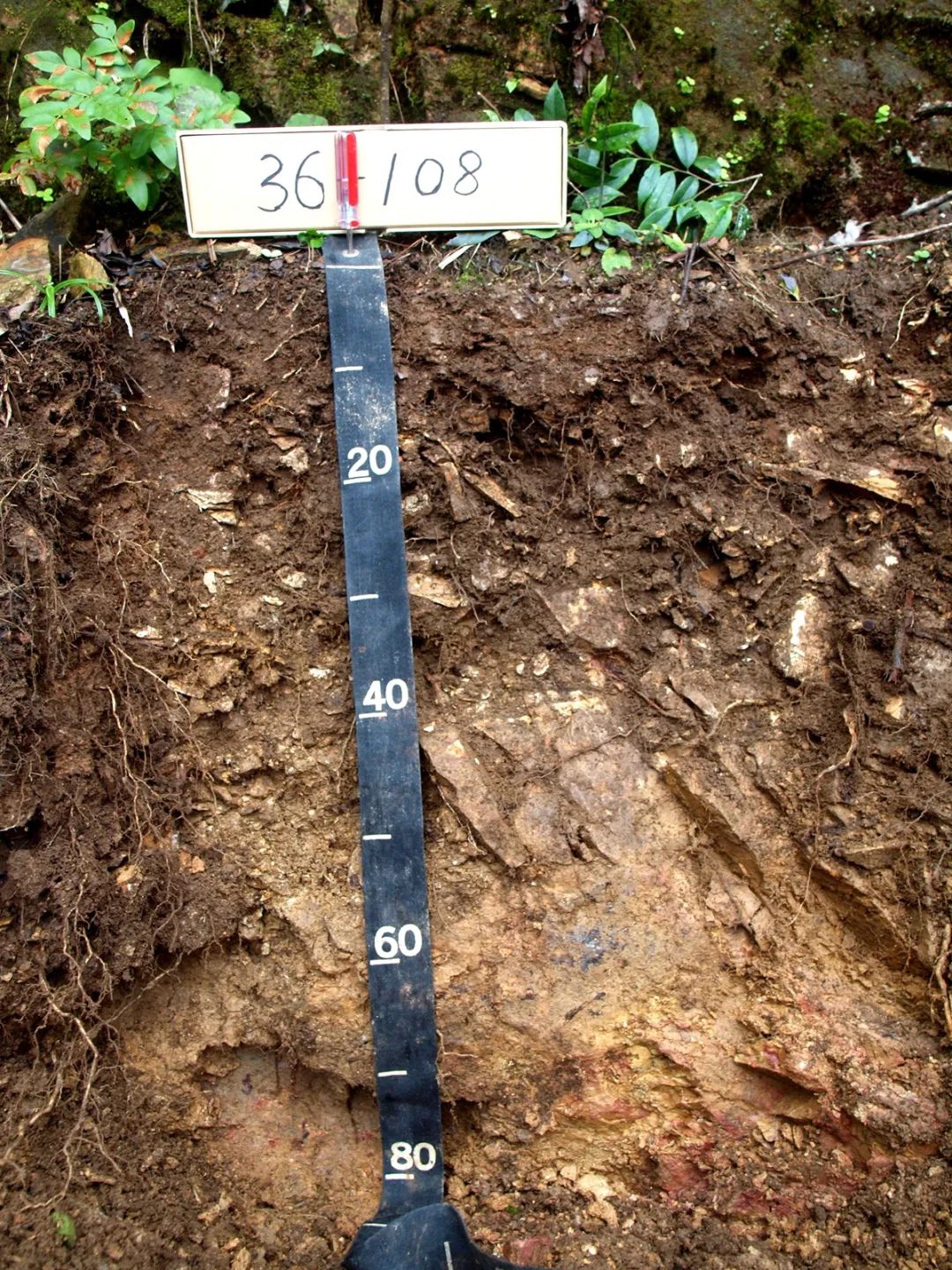 江西笔架山系土壤剖面