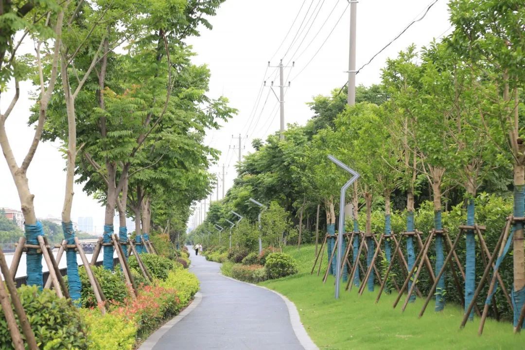 提升排涝标准,新建滨水景观,淀浦河松江段整治工程12月全线竣工