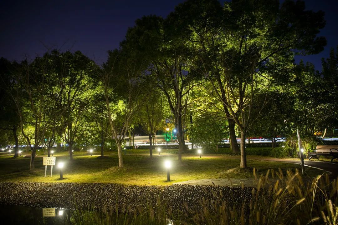 斑斓花卉五彩灯光长宁街头装扮一新丨进博市容环境保障90