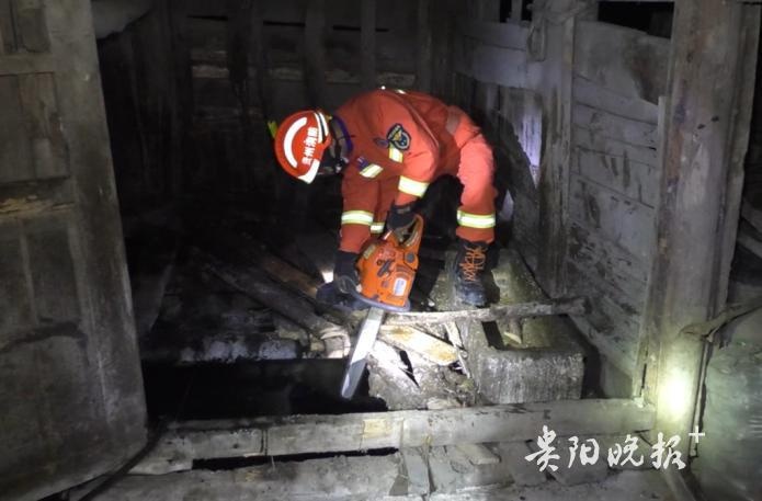 二师兄太胖踩塌盖板消防员夜晚粪坑捞猪