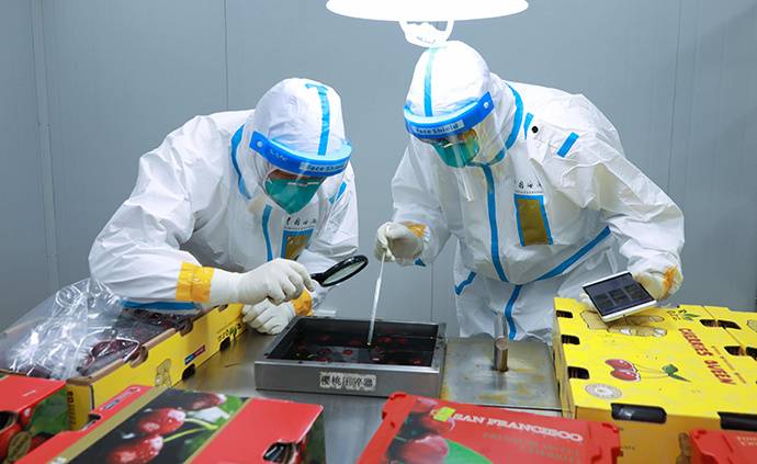 今年首批次智利樱桃正式抵沪海关配置水果检疫专家快速验放