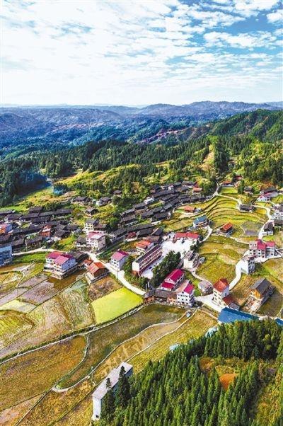 天柱县高酿镇木杉村.新华社记者 杨文斌 摄