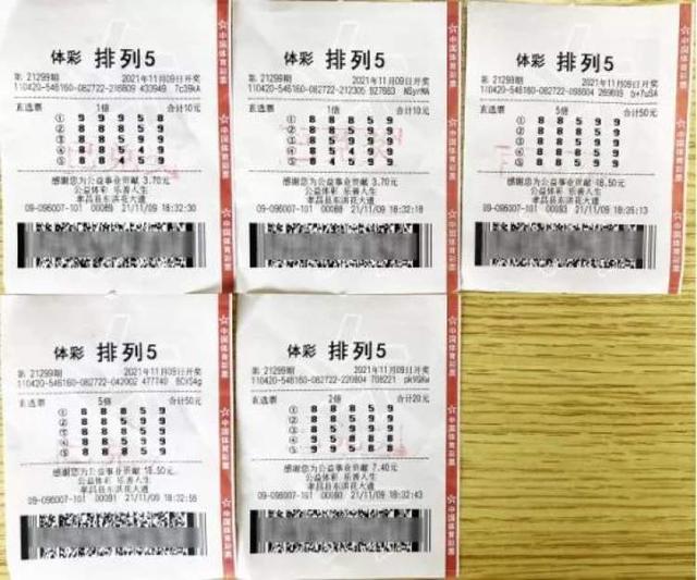 全民爱体育- 爱体育官方网站- 世界杯指定娱乐平台登高谱新篇策马奔腾启华年——“中国体育彩票”2026年全国新年登高健身大会盛大启幕