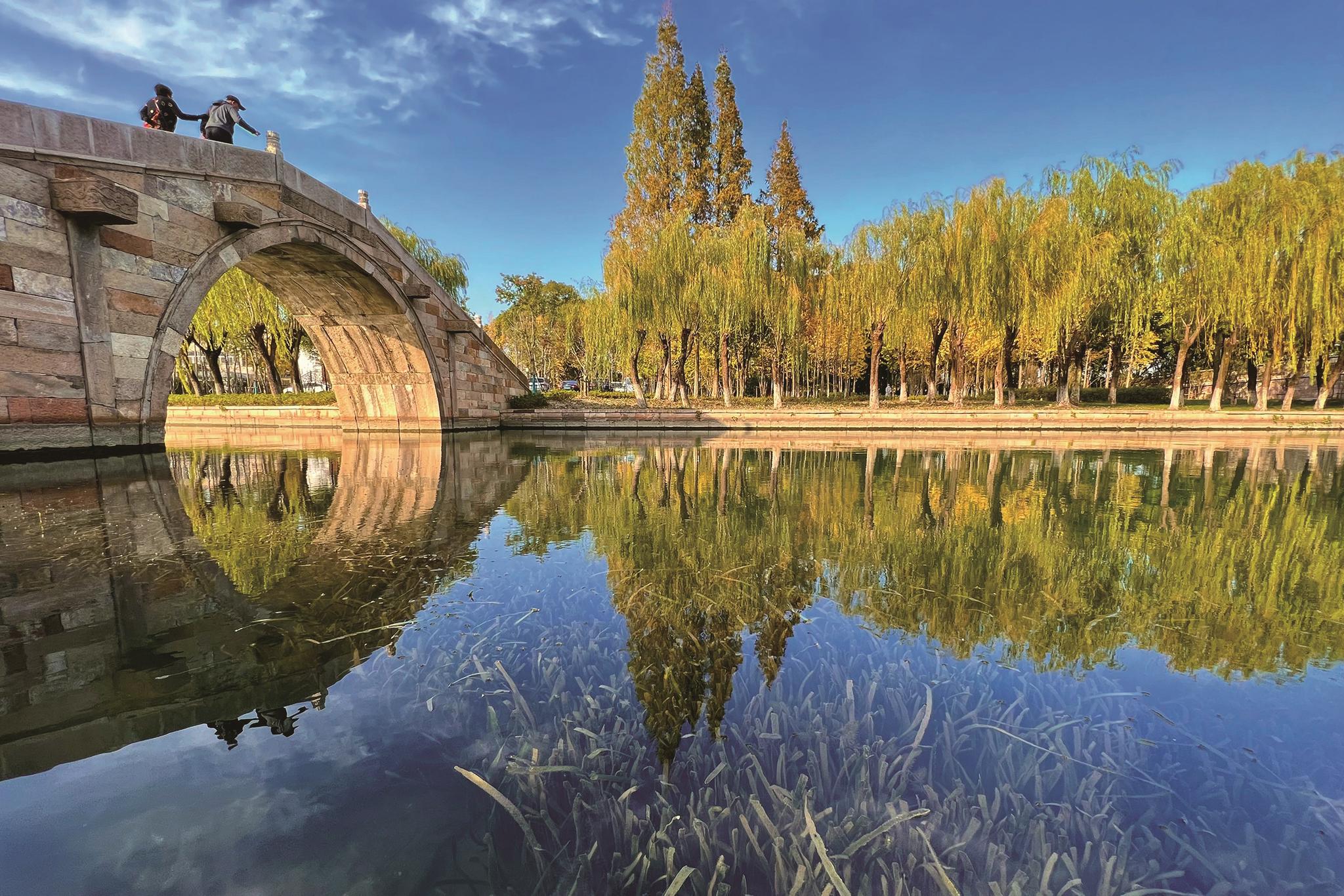 漫步金秋美景中|嘉兴市_新浪财经_新浪网