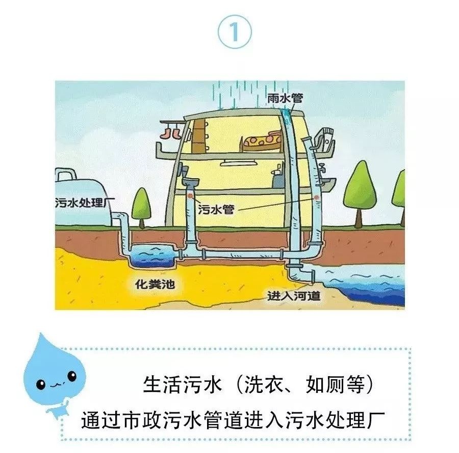 科普|什么是"雨污分流"?