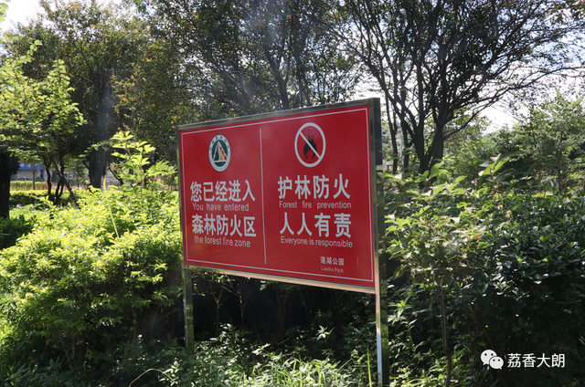 森林防火橙色预警,这些你不能不懂的森林防火小知识