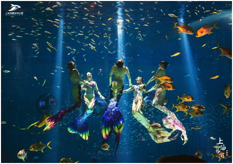 图说：上海海昌海洋公园《人鱼童话》在全球唯一7°倾斜沉浸式水下展缸唯美上演。上海旅游直播间供图